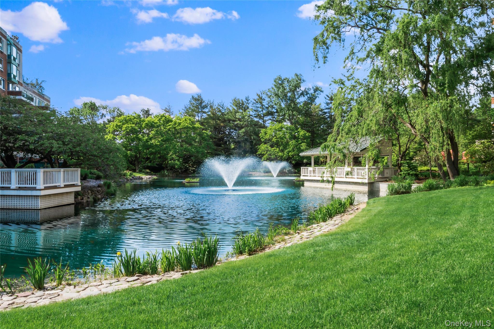 Condo Cherry Valley  Nassau County, NY 11530, MLS-976451-11