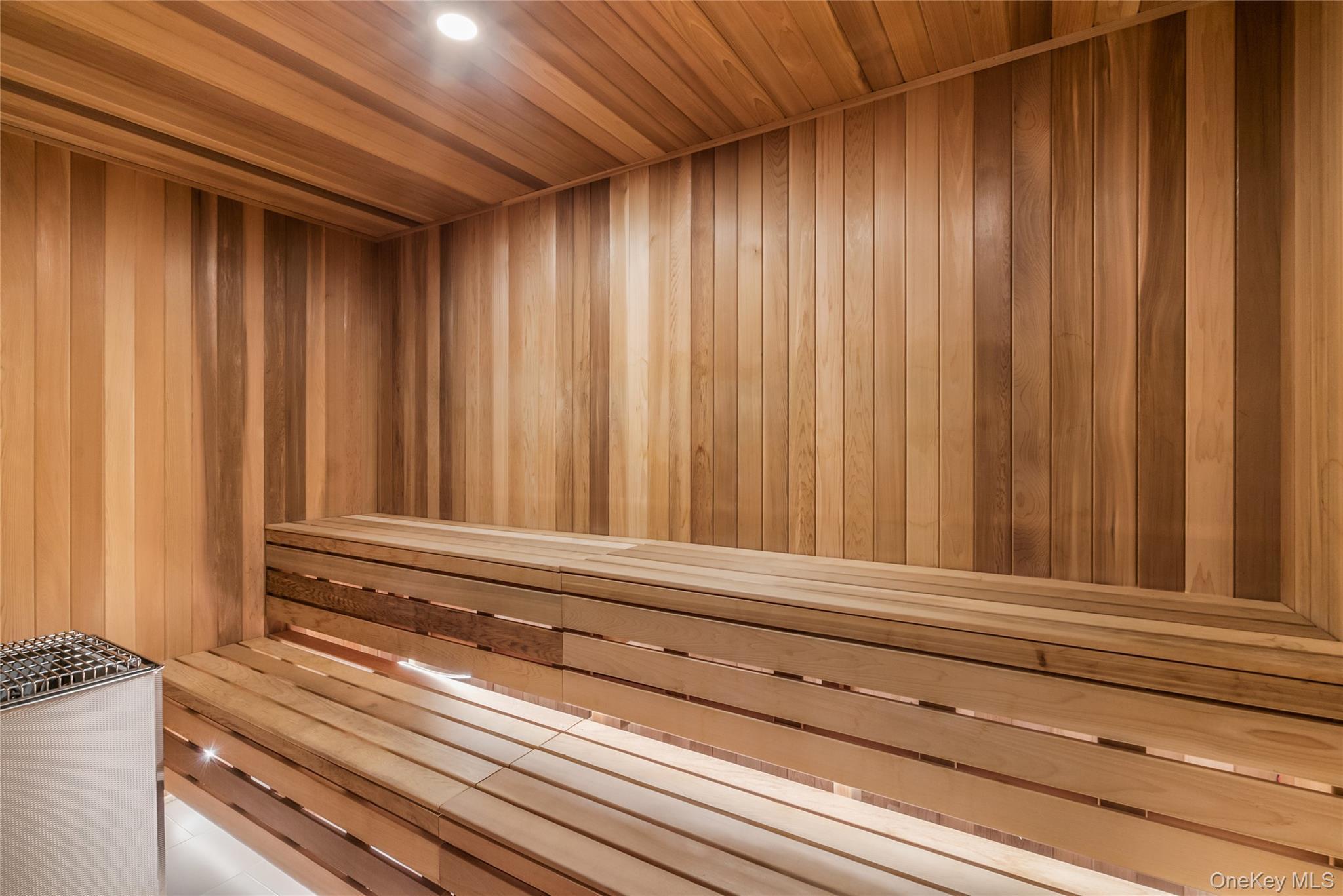 Condo Cherry Valley  Nassau County, NY 11530, MLS-976451-23