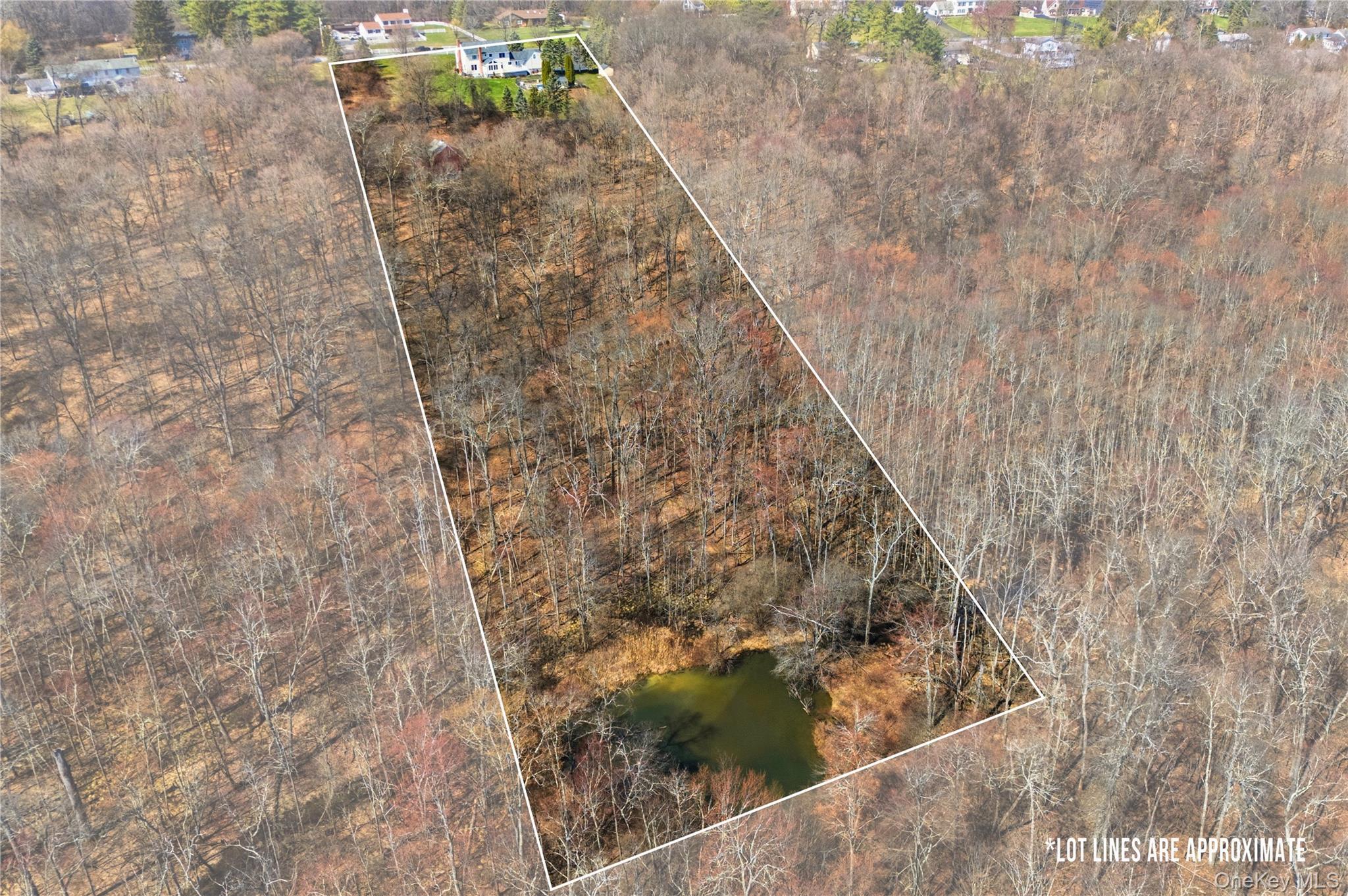 Single Family Ridge  Orange County, NY 10916, MLS-976484-49