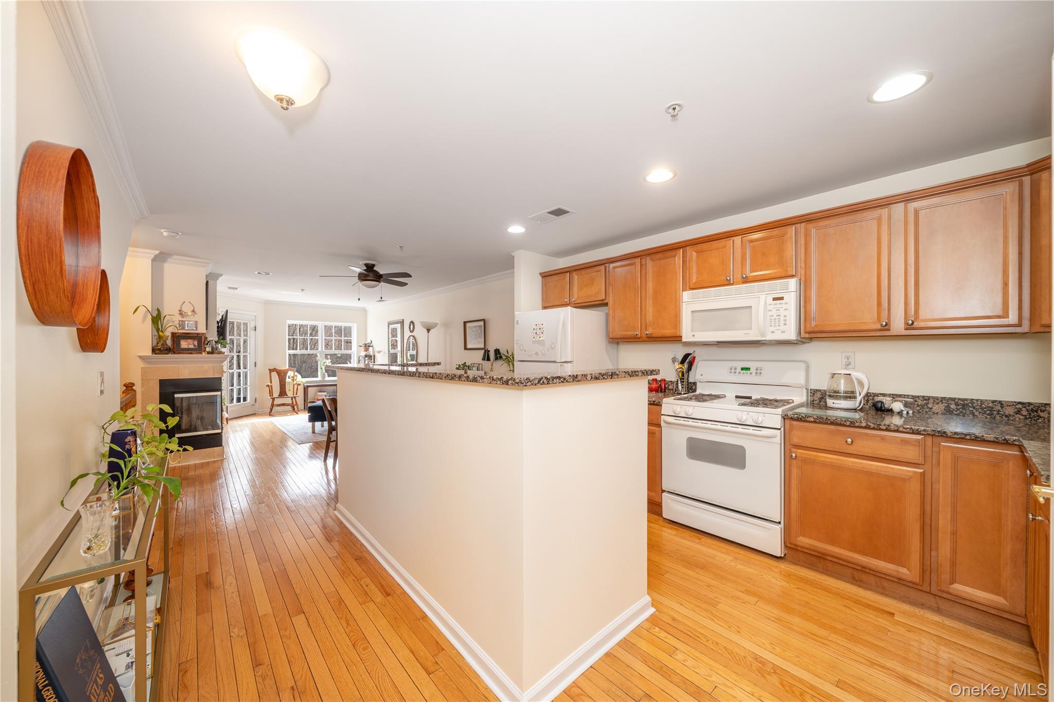 Condo Viewpoint  Westchester County, NY 10566, MLS-976528-8