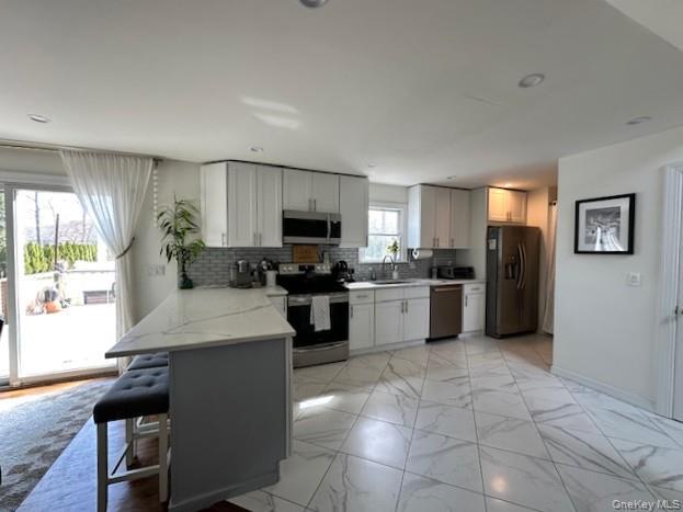Single Family N Columbine Avenue Suffolk County, NY 11946, MLS-976543-6
