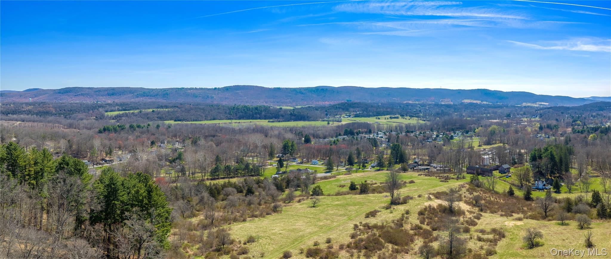 Single Family Tinker Town Road Dutchess County, NY 12522, MLS-976571-10
