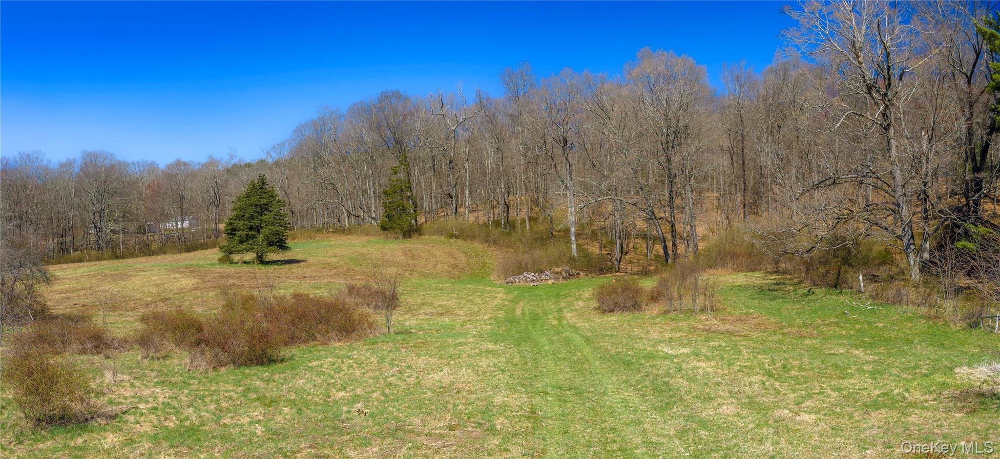 Single Family Tinker Town Road Dutchess County, NY 12522, MLS-976571-11