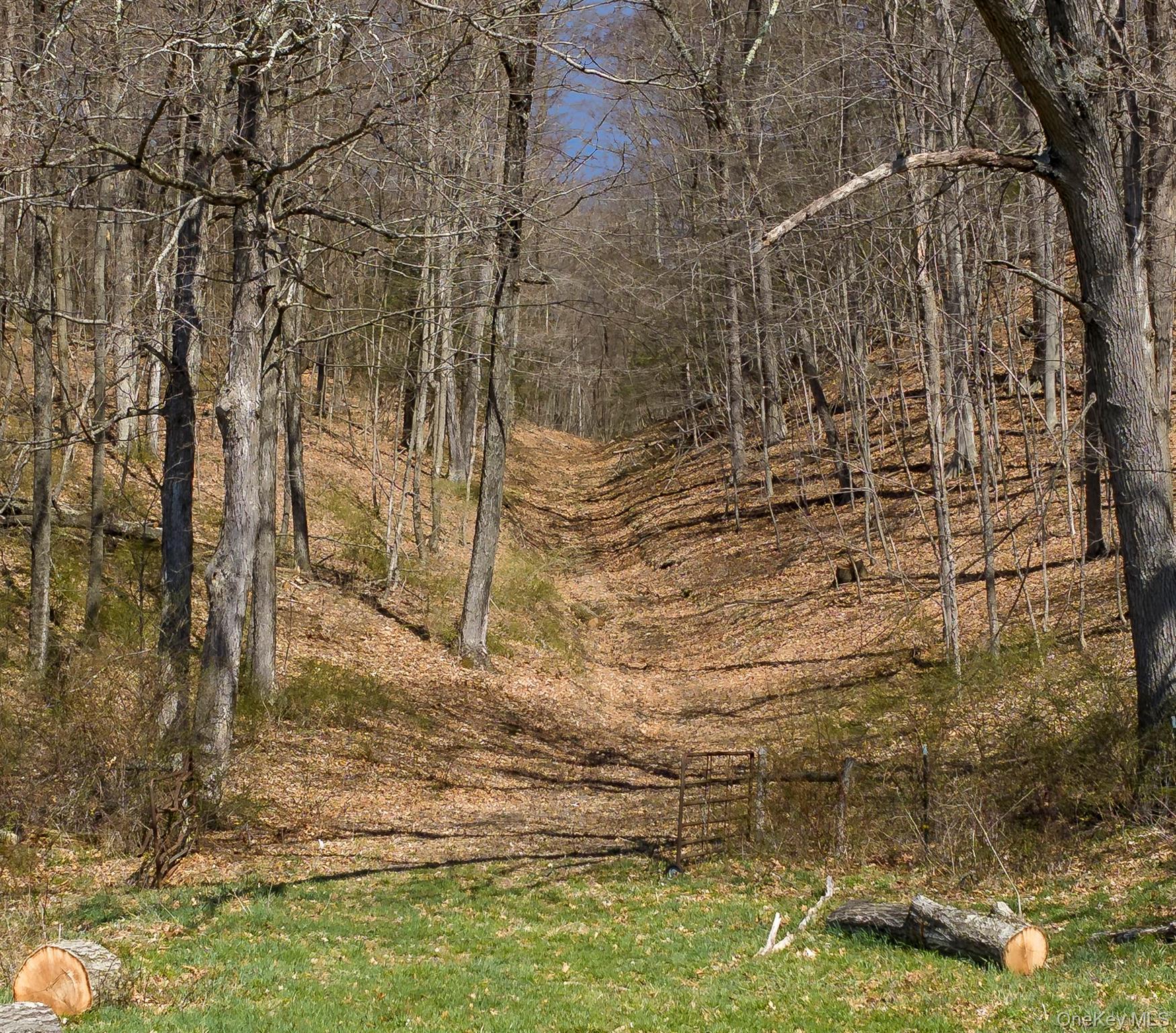Single Family Tinker Town Road Dutchess County, NY 12522, MLS-976571-12