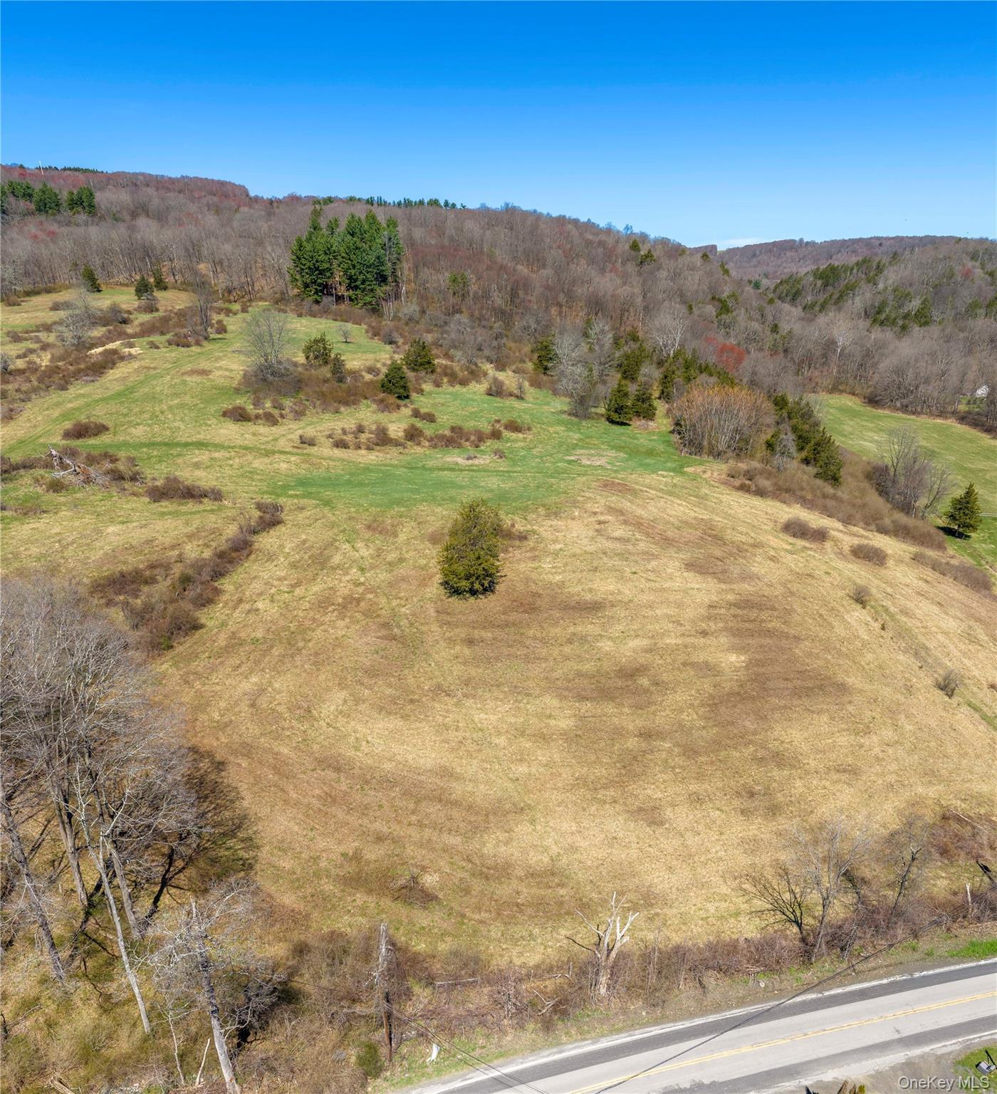 Single Family Tinker Town Road Dutchess County, NY 12522, MLS-976571-17