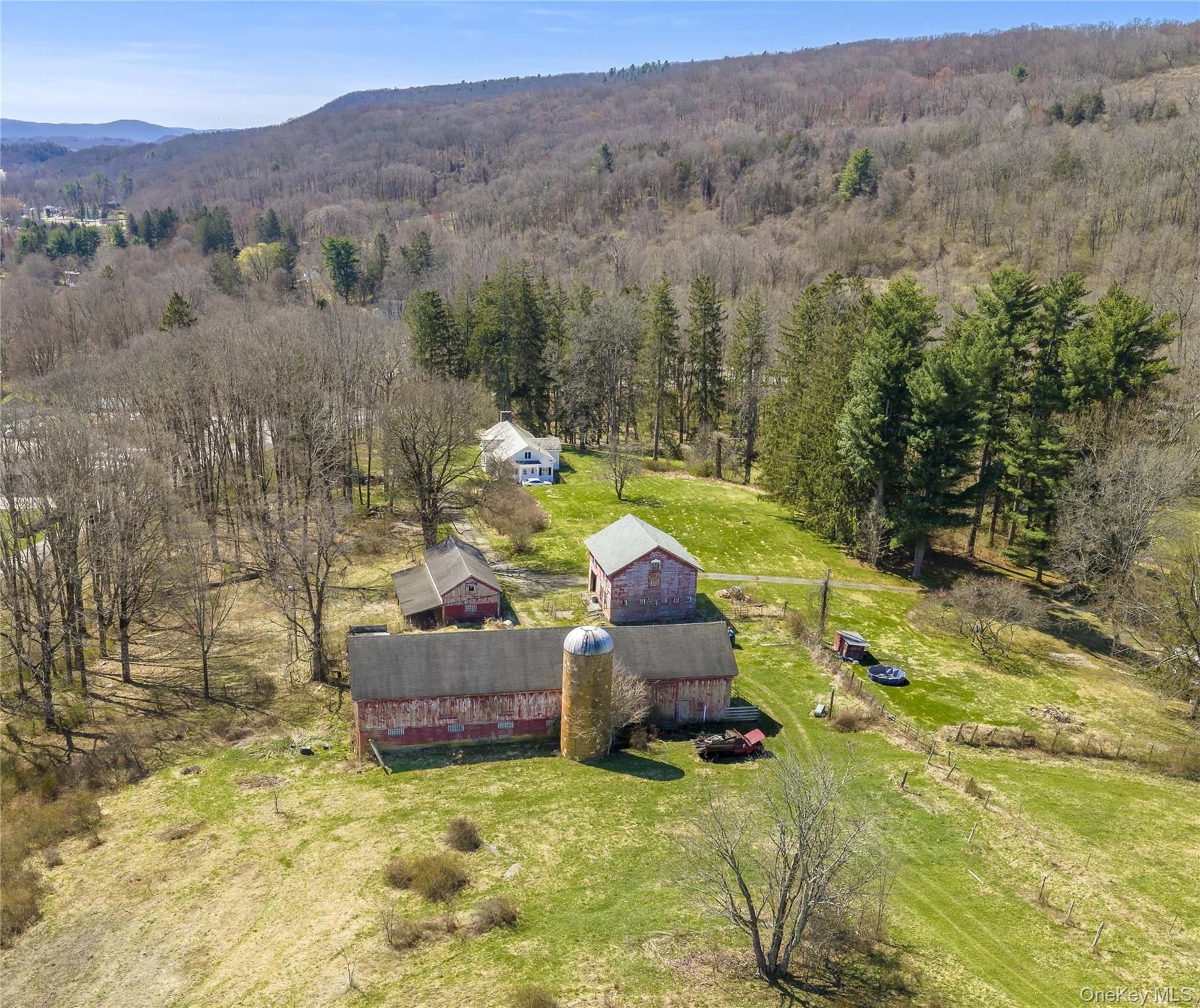 Single Family Tinker Town Road Dutchess County, NY 12522, MLS-976571-18