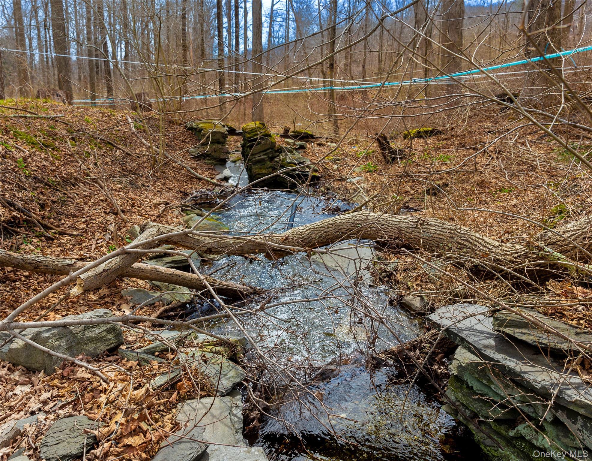 Single Family Tinker Town Road Dutchess County, NY 12522, MLS-976571-24