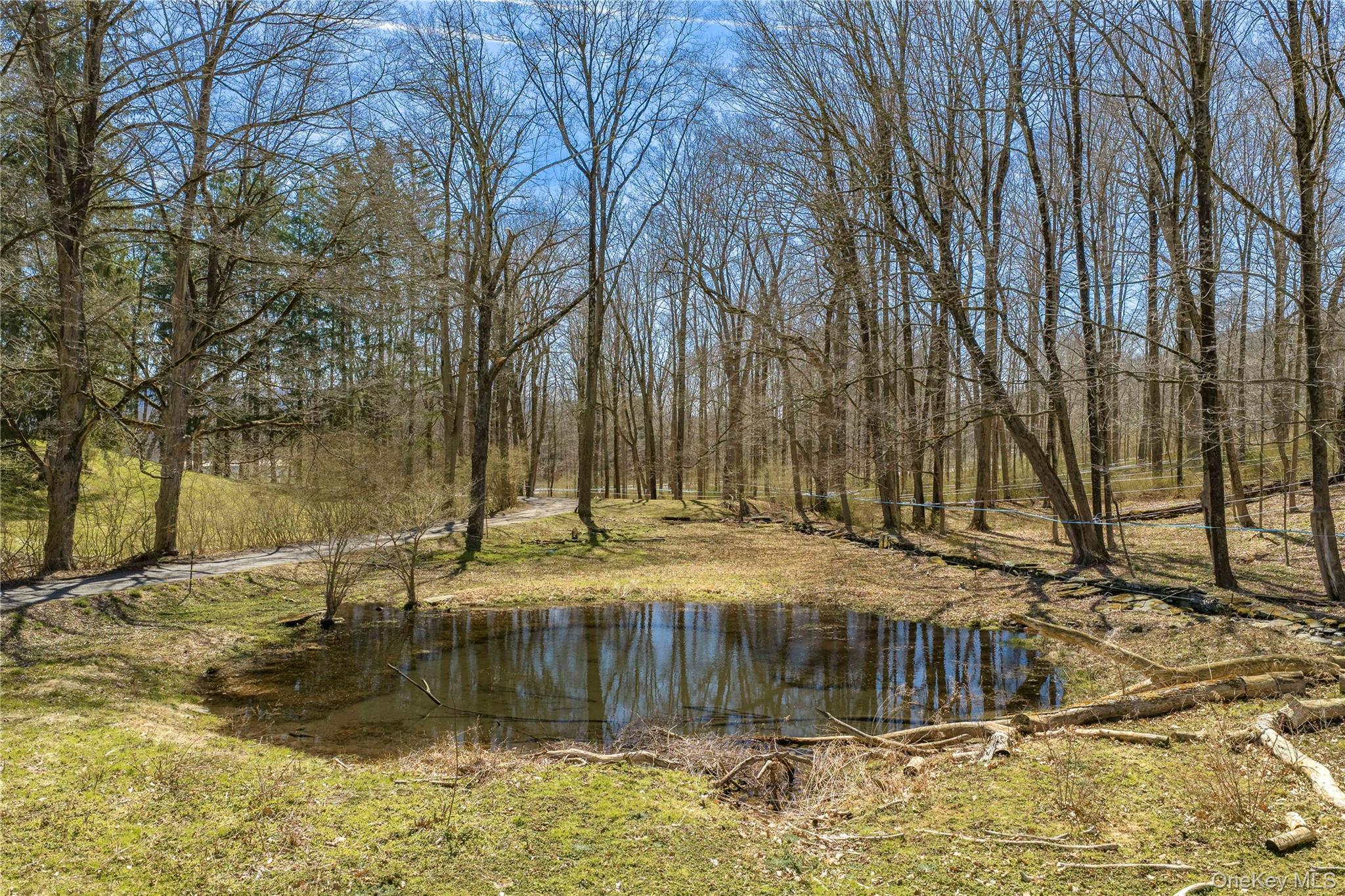 Single Family Tinker Town Road Dutchess County, NY 12522, MLS-976571-25