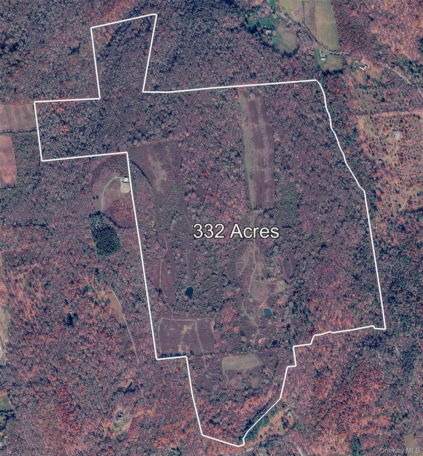 Single Family Tinker Town Road  Dutchess County, NY 12522, MLS-976571-26