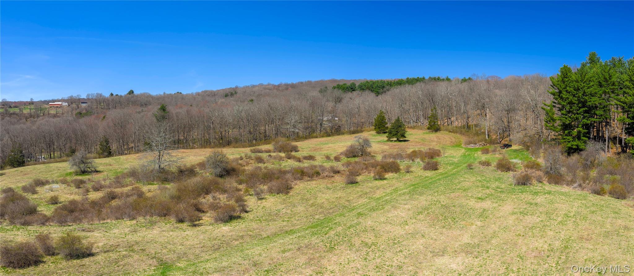 Single Family Tinker Town Road Dutchess County, NY 12522, MLS-976571-7