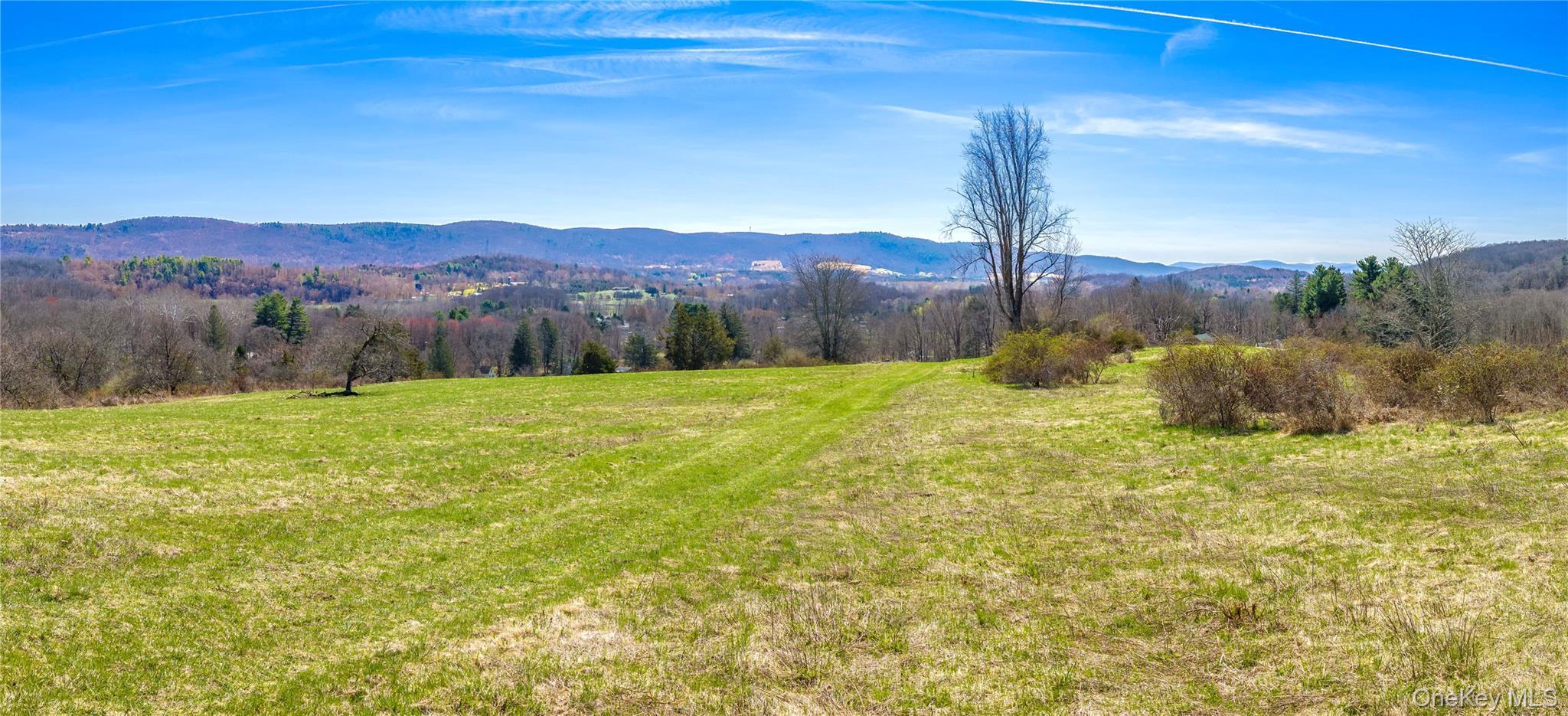 Single Family Tinker Town Road Dutchess County, NY 12522, MLS-976571-8