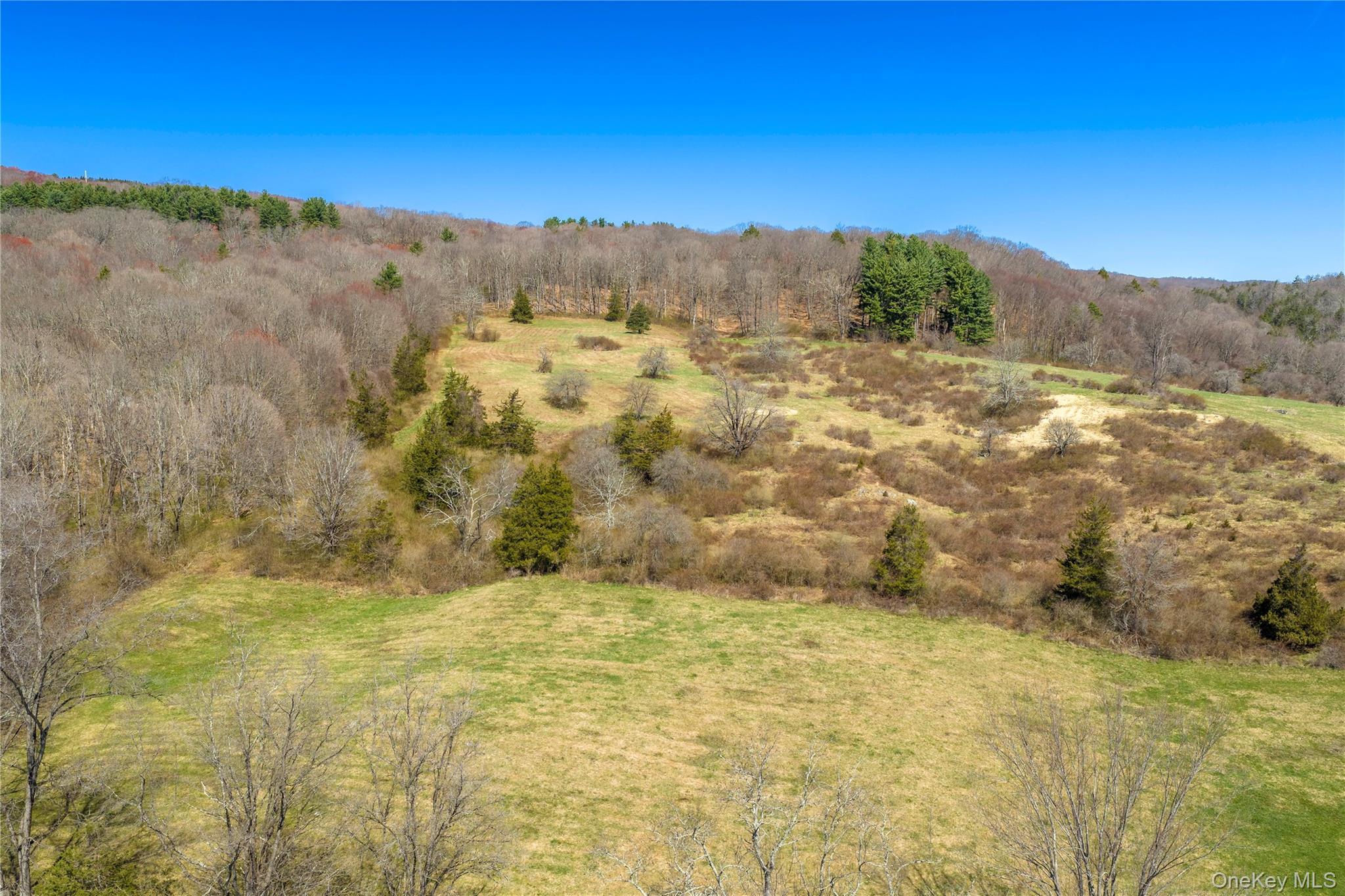Single Family Tinker Town Road Dutchess County, NY 12522, MLS-976571-9
