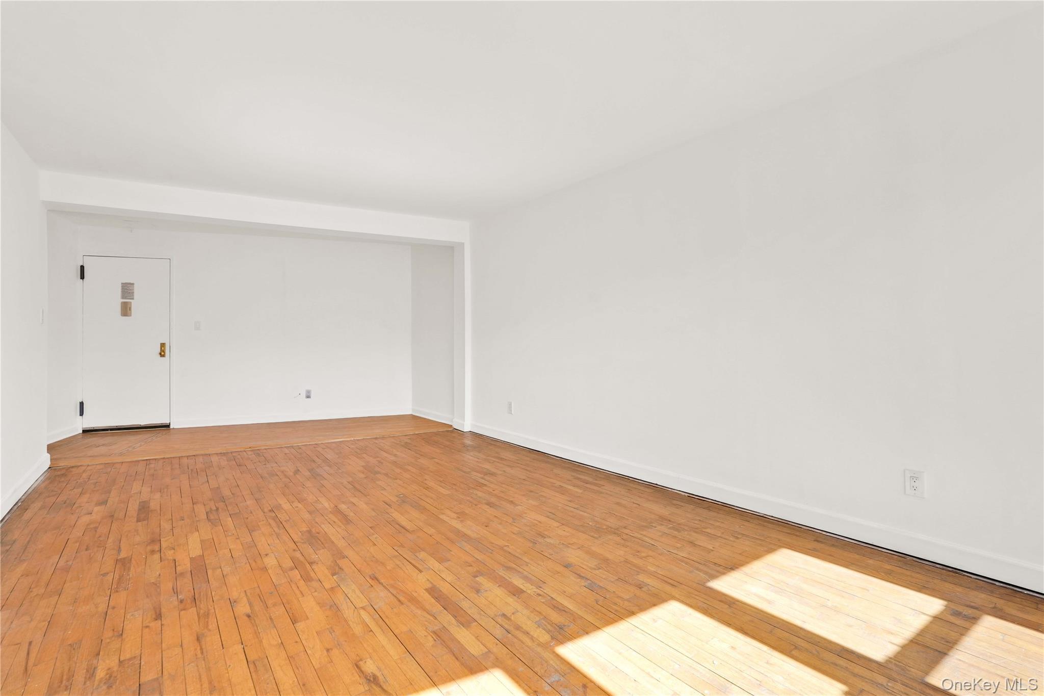 Coop Calloway  Queens, NY 11368, MLS-976579-5