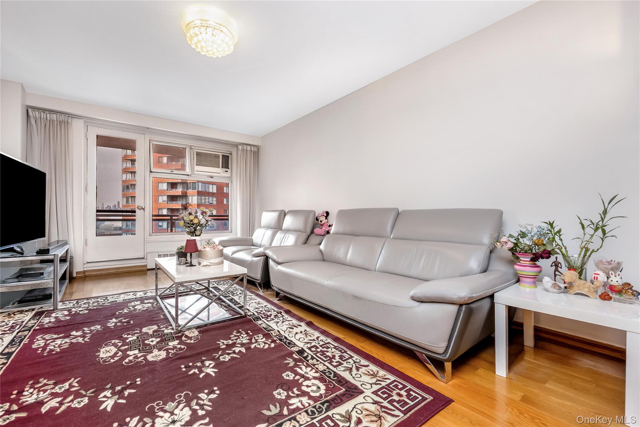 Coop 62nd  Queens, NY 11374, MLS-976615-3