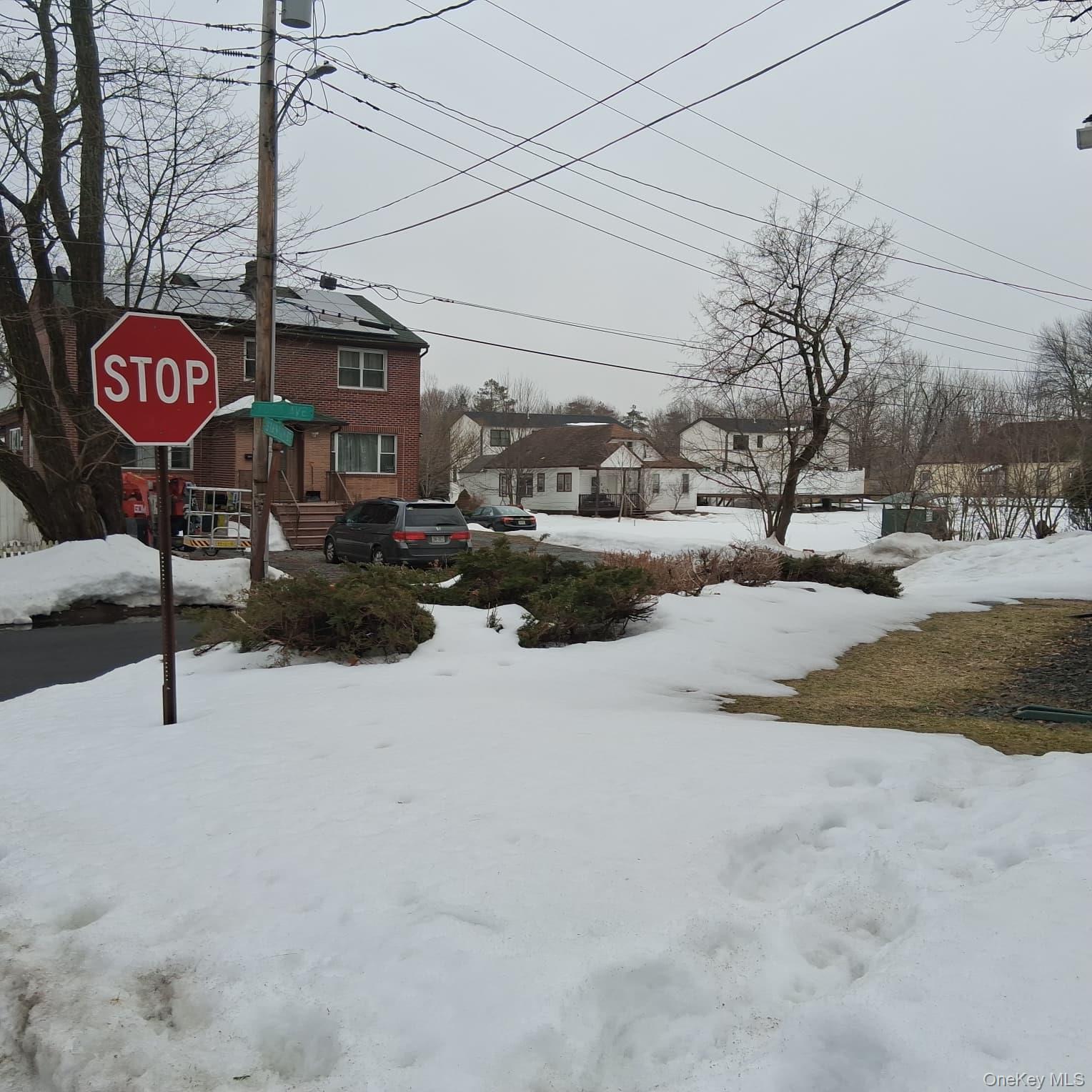 Single Family York Avenue  Sullivan County, NY 12701, MLS-976623-15