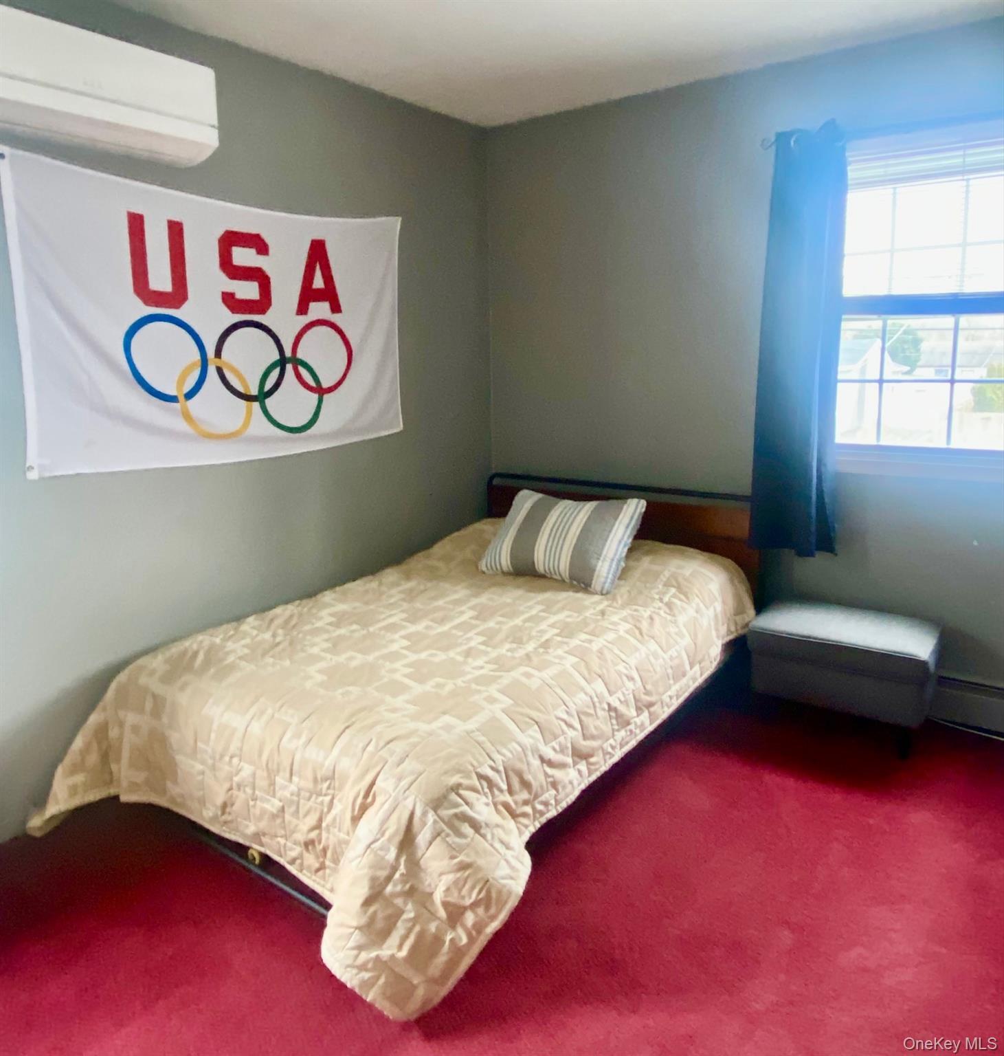 Single Family Pauline  Suffolk County, NY 11741, MLS-976637-10