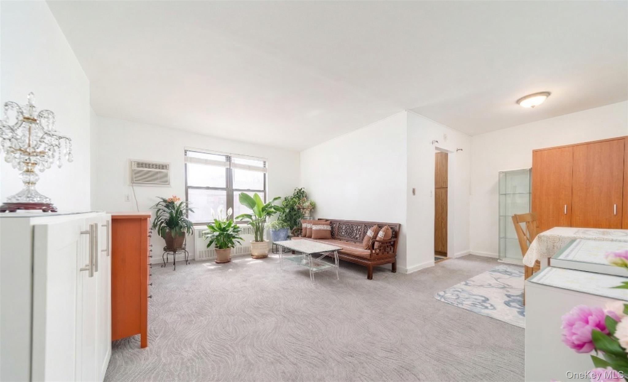 Coop 69th  Queens, NY 11365, MLS-976641-2