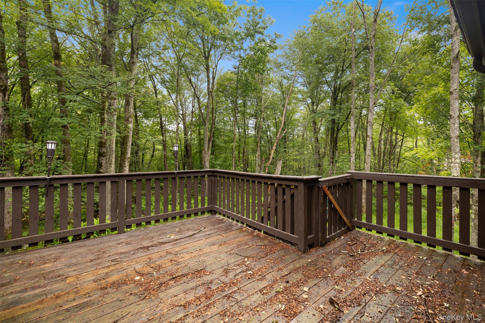 Single Family Meadowlark Lane  Sullivan County, NY 12789, MLS-976653-22