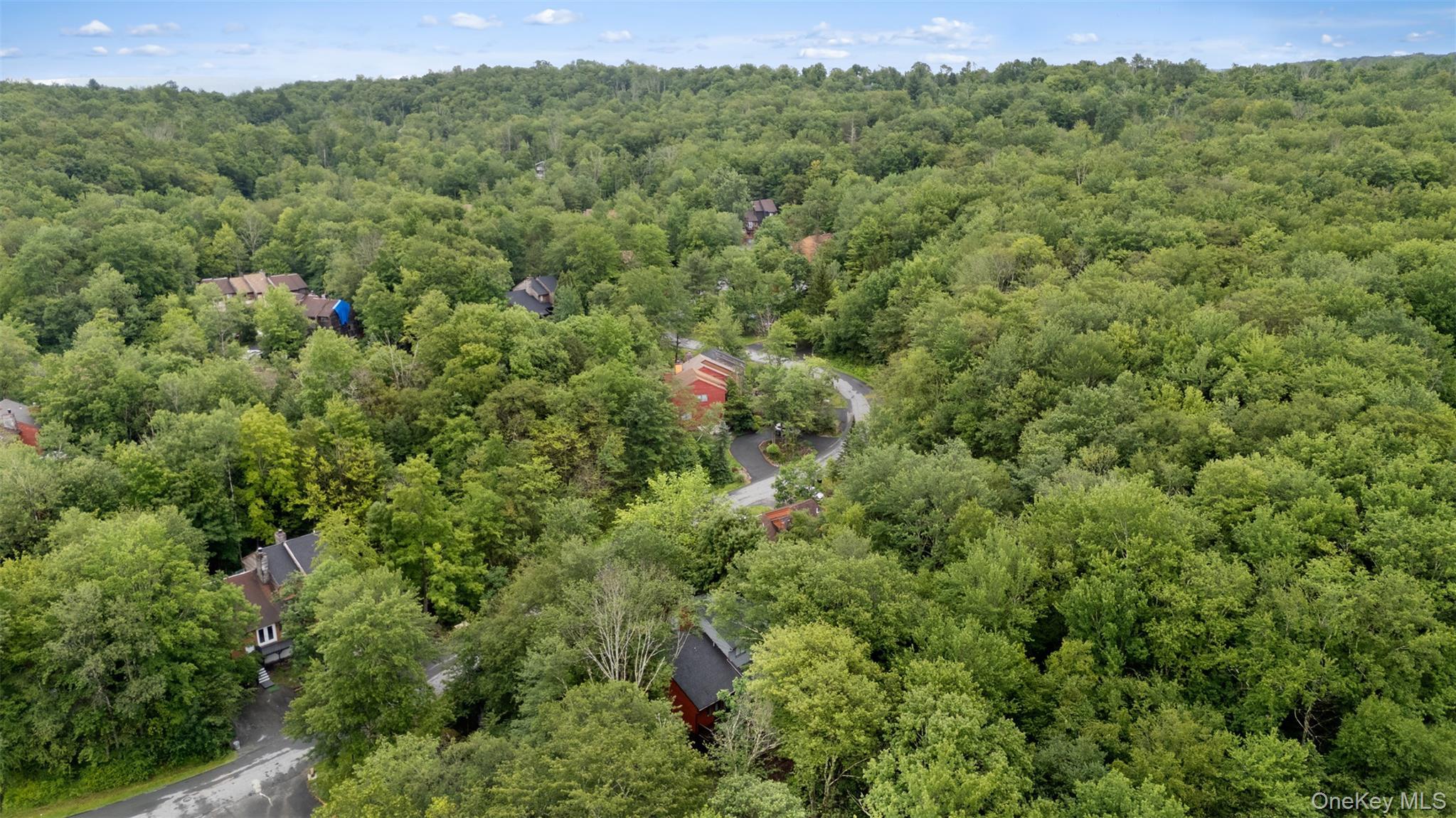 Single Family Meadowlark Lane  Sullivan County, NY 12789, MLS-976653-25