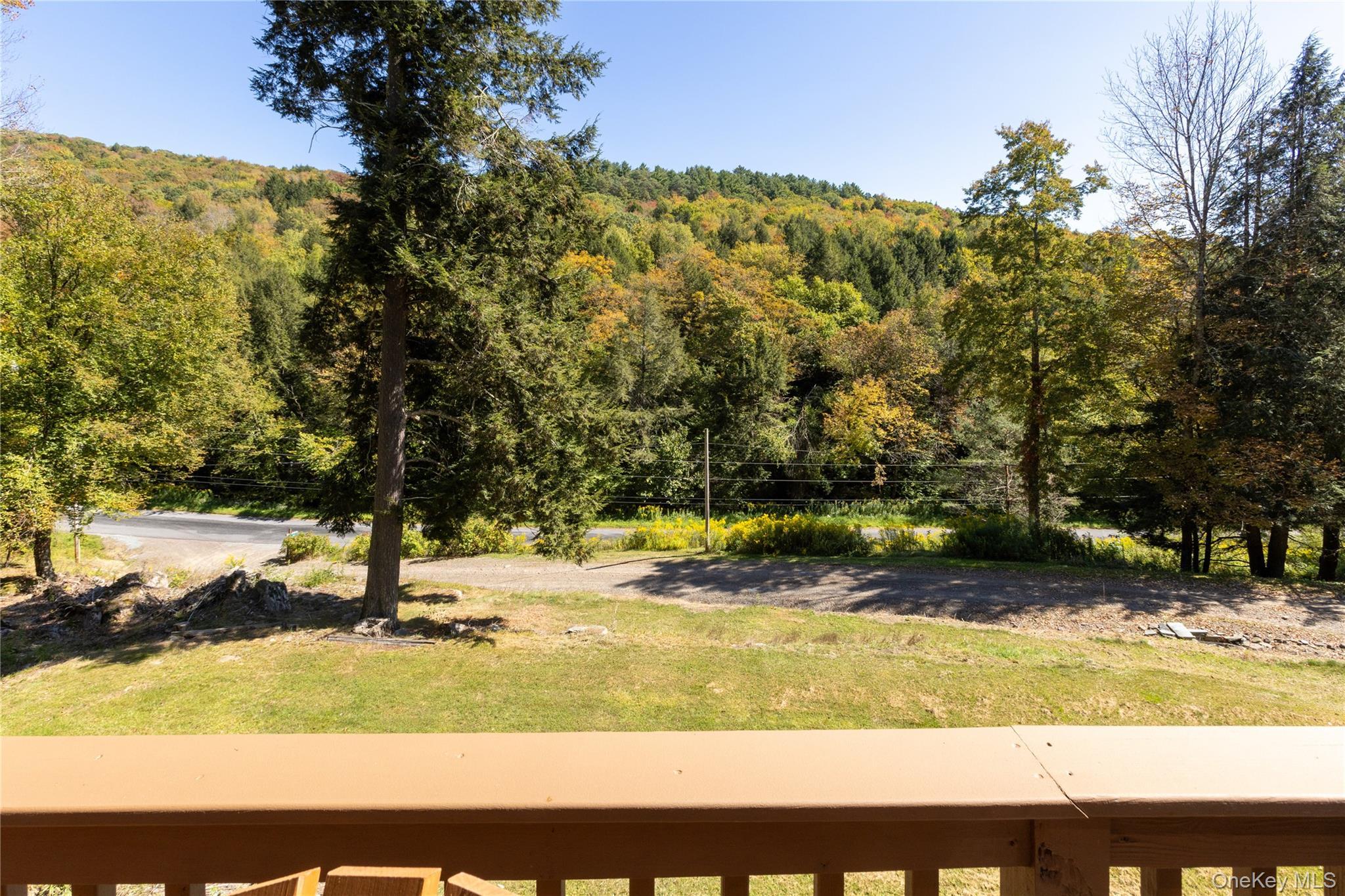 Single Family Covert Hollow  Delaware County, NY 13782, MLS-976717-32