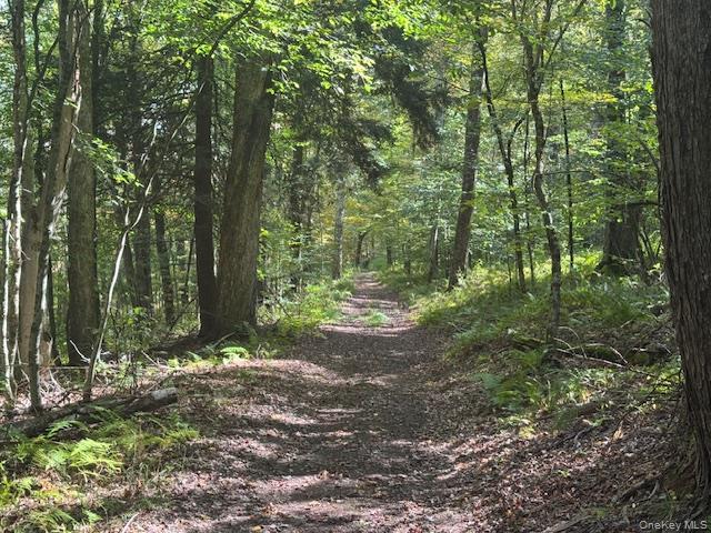 Single Family Covert Hollow  Delaware County, NY 13782, MLS-976717-34