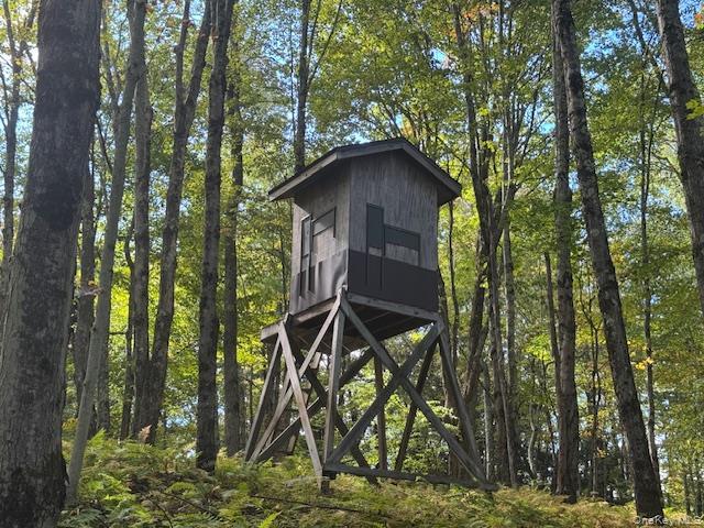 Single Family Covert Hollow  Delaware County, NY 13782, MLS-976717-35