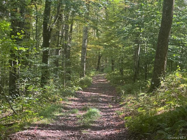 Single Family Covert Hollow  Delaware County, NY 13782, MLS-976717-36