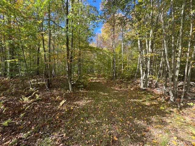 Single Family Covert Hollow  Delaware County, NY 13782, MLS-976717-37