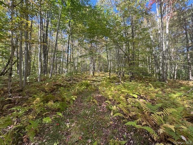 Single Family Covert Hollow  Delaware County, NY 13782, MLS-976717-38