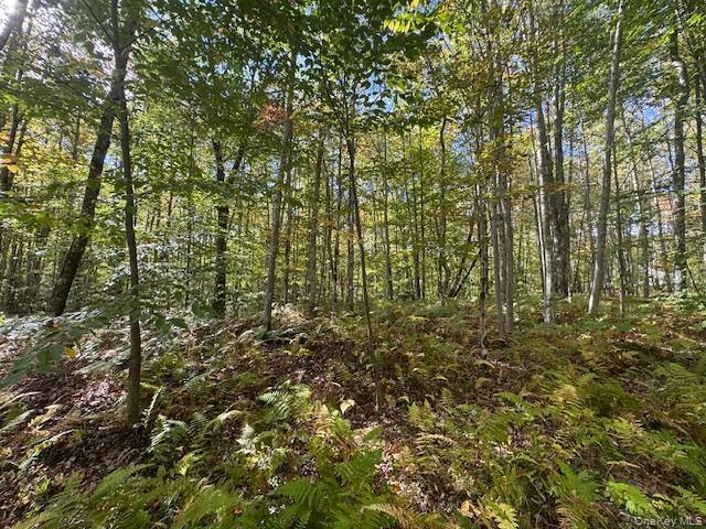 Single Family Covert Hollow  Delaware County, NY 13782, MLS-976717-39