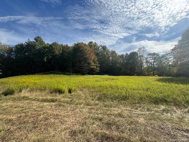 Single Family Covert Hollow  Delaware County, NY 13782, MLS-976717-40