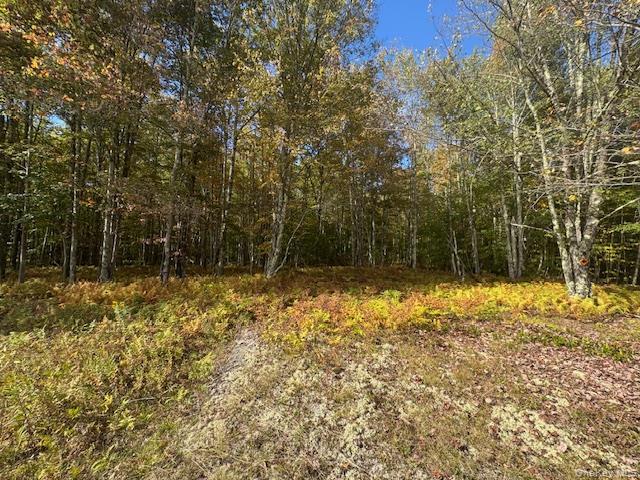 Single Family Covert Hollow  Delaware County, NY 13782, MLS-976717-41