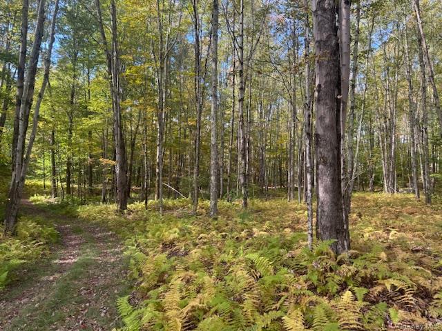 Single Family Covert Hollow  Delaware County, NY 13782, MLS-976717-42