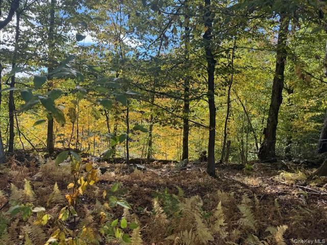 Single Family Covert Hollow  Delaware County, NY 13782, MLS-976717-43