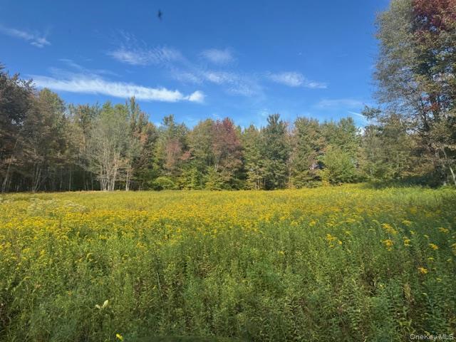 Single Family Covert Hollow  Delaware County, NY 13782, MLS-976717-44