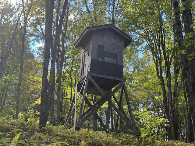 Single Family Covert Hollow  Delaware County, NY 13782, MLS-976717-45