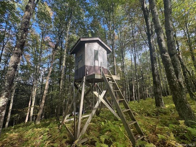 Single Family Covert Hollow  Delaware County, NY 13782, MLS-976717-46