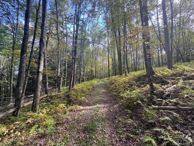 Single Family Covert Hollow  Delaware County, NY 13782, MLS-976717-47