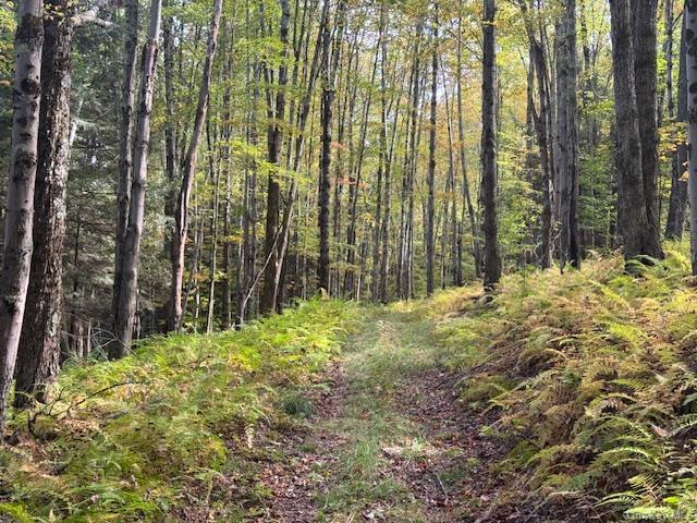 Single Family Covert Hollow  Delaware County, NY 13782, MLS-976717-48