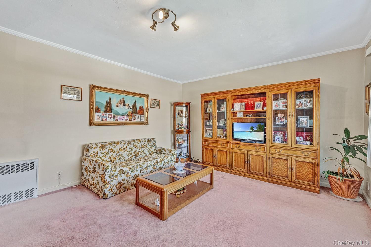 Condo Utopia  Queens, NY 11365, MLS-976751-3