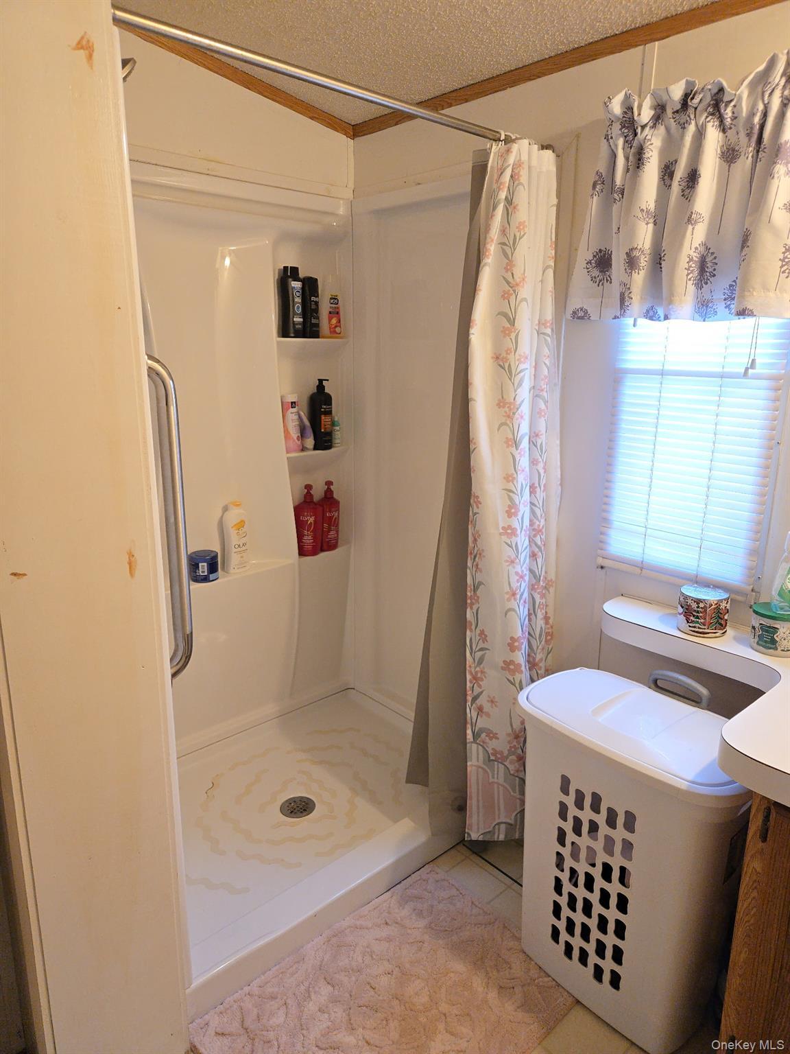 Single Family Goethals Road N Staten Island, NY 10303, MLS-976763-18