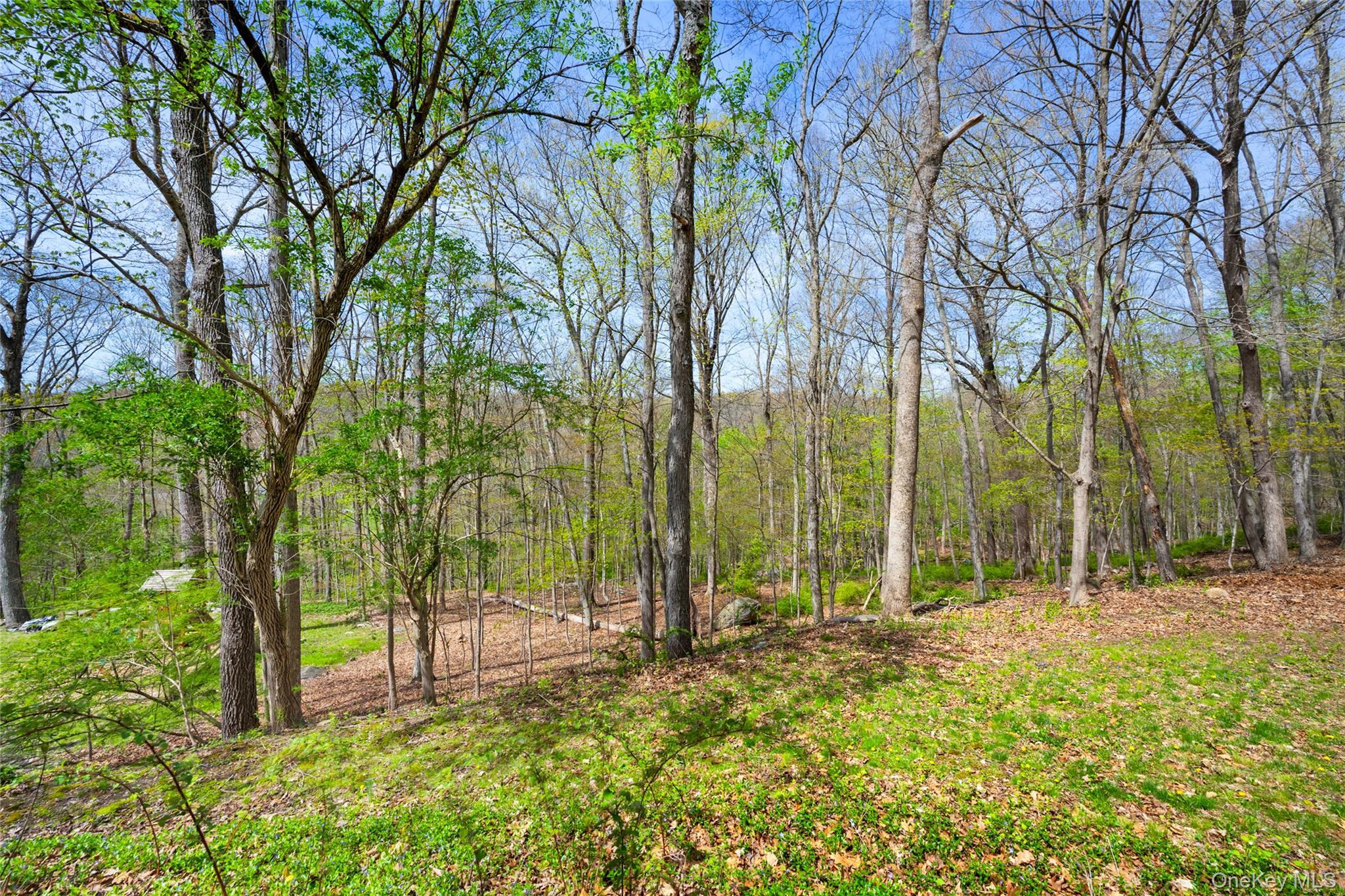 Single Family Allison  Westchester County, NY 10536, MLS-976771-22