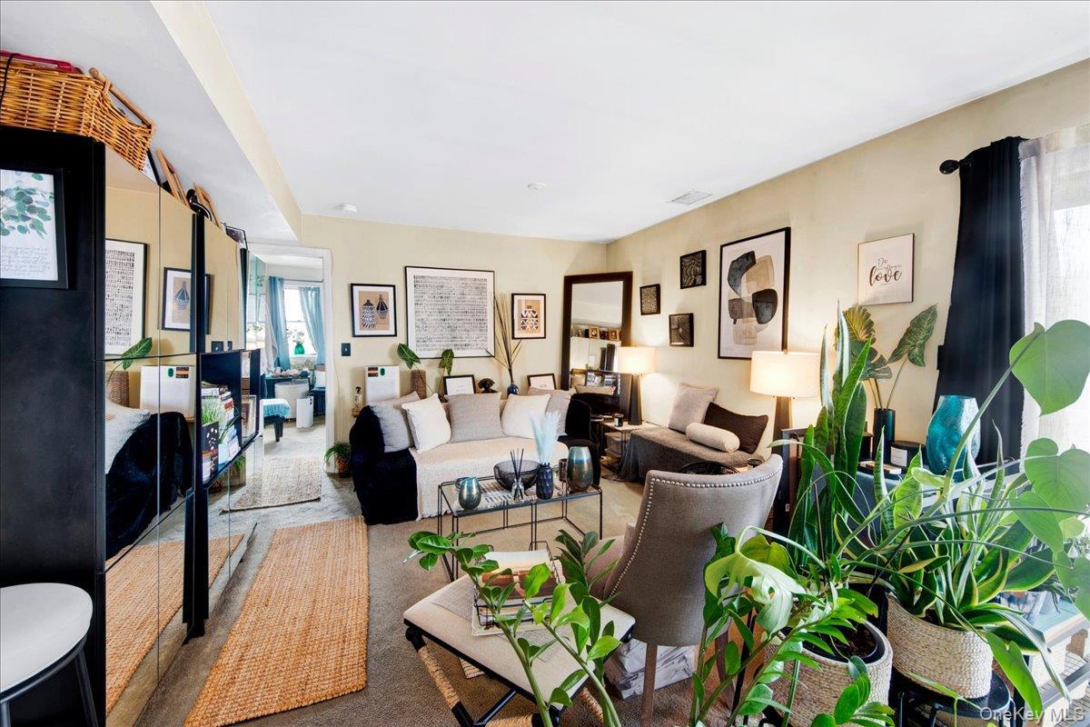 Condo Harbor  Westchester County, NY 10805, MLS-976785-5