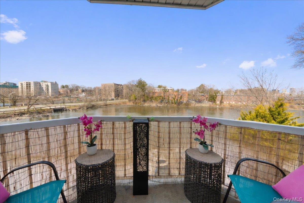 Condo Harbor  Westchester County, NY 10805, MLS-976785-7