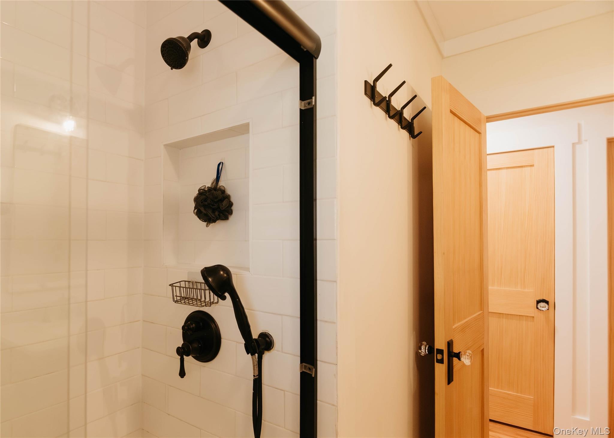 Single Family Forest  Ulster County, NY 12589, MLS-976825-20