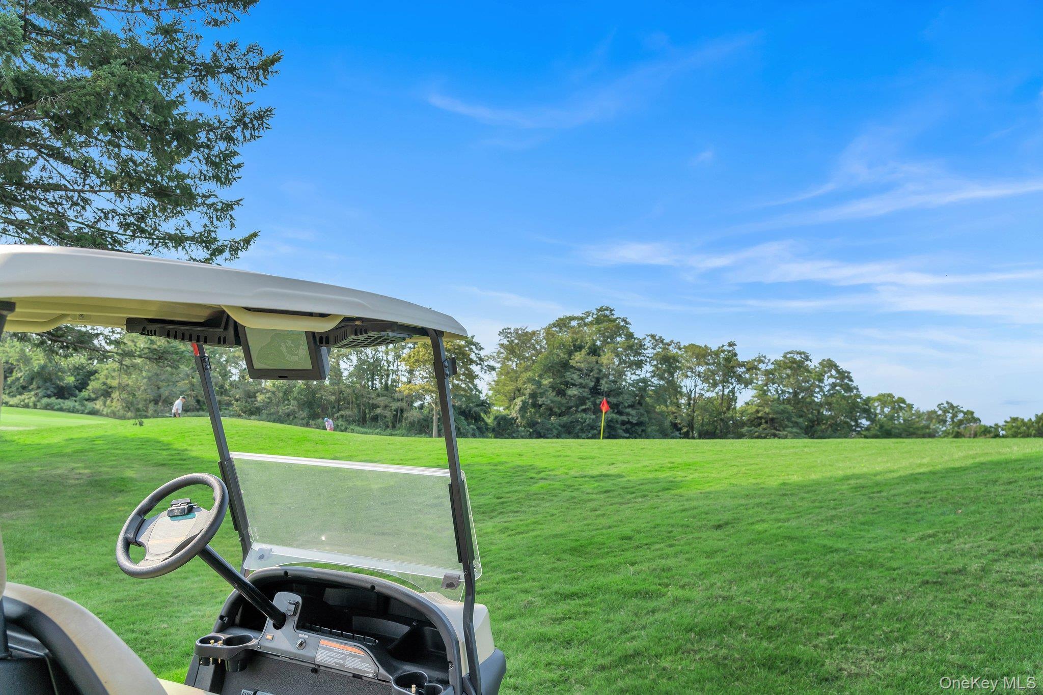 Coop Grand Central  Queens, NY 11005, MLS-976833-34