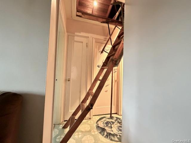 Coop Bell  Queens, NY 11364, MLS-976849-11