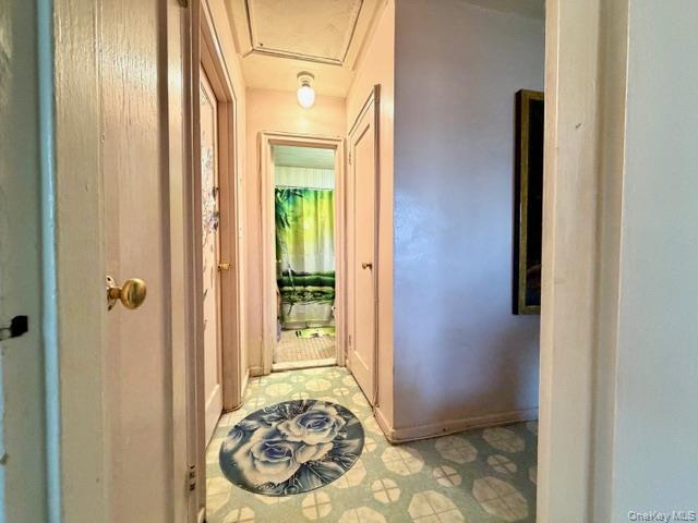 Coop Bell  Queens, NY 11364, MLS-976849-9