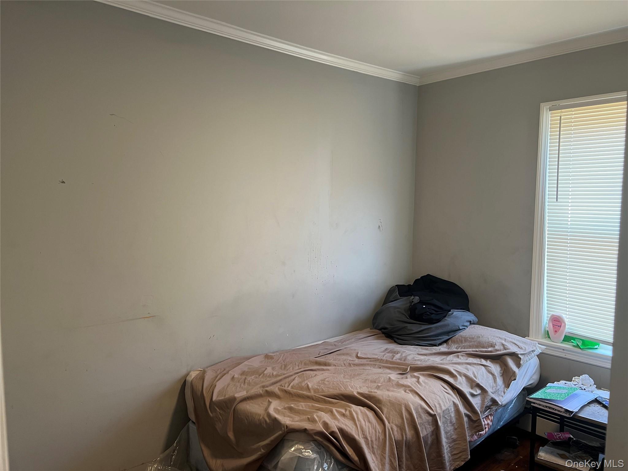 Single Family Casino  Nassau County, NY 11520, MLS-976866-6