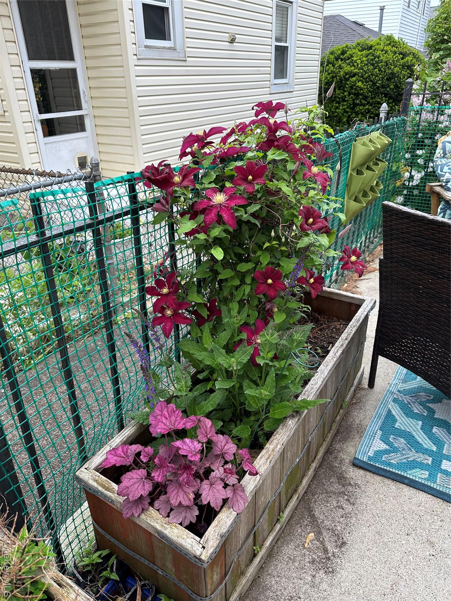 Coop Alden  Bronx, NY 10465, MLS-976867-3